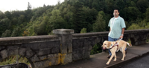 guide dog legally blind veterans