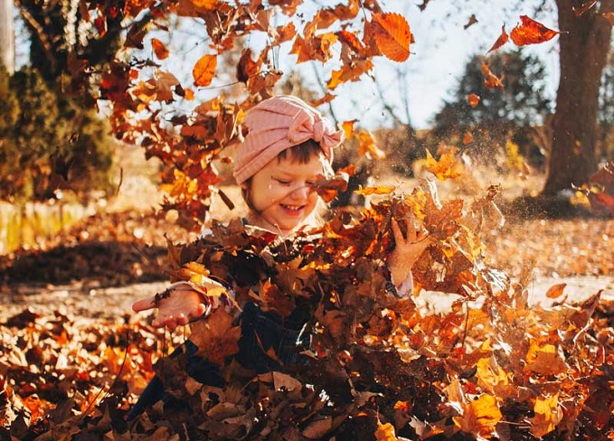 child, with pink bow in hair, plays in autumn leaf pile