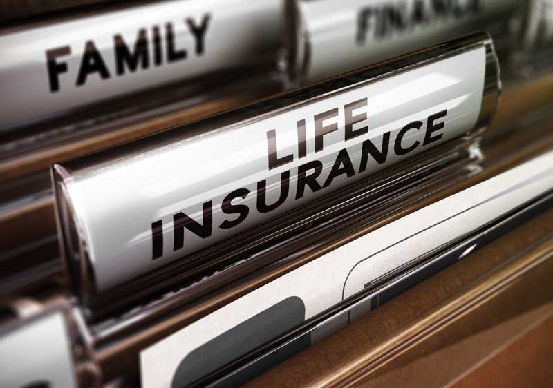 life insurance folders.X